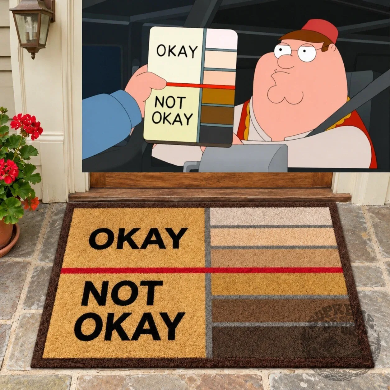 Family Guy Okay Not Okay Skin Tone Chart Meme Doormat